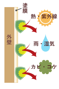 塗膜は建物にダメージを与える要因から建物を守ります